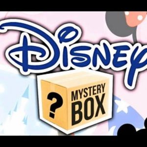 Disney mystery box